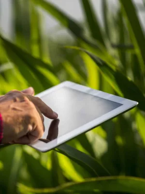 Agricultural Outlook
