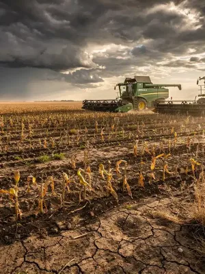 Parched agricultural field showing impact of climate change on US crop yields